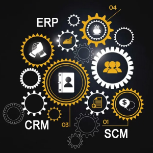 ERP Consultancy software related it support business service